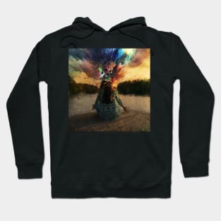 Reaching Nirvana Hoodie